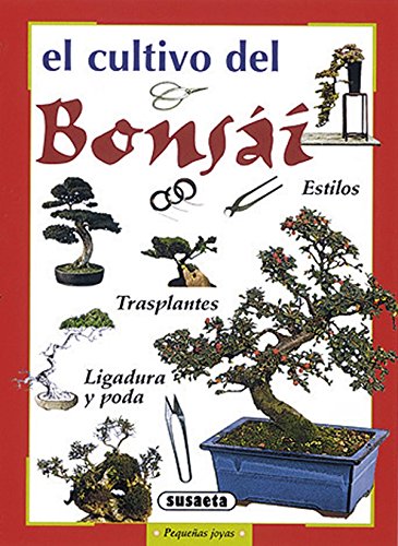 Melhor bonsai em 2022 [com base em 50 avaliações de especialistas]