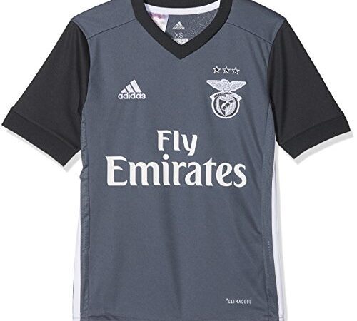 adidas SLB A JSY Y Camiseta 2ª Equipación Benfica 2017-2018, niños, Gris (Onix/Griosc), 164