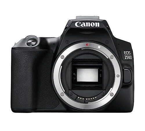Canon EOS 250D - Cámara Digital (24,1 MP, 6000 x 4000 Pixeles, CMOS, 4K Ultra HD, Pantalla táctil) Negro